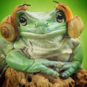 Meet your Posher, Nicolas